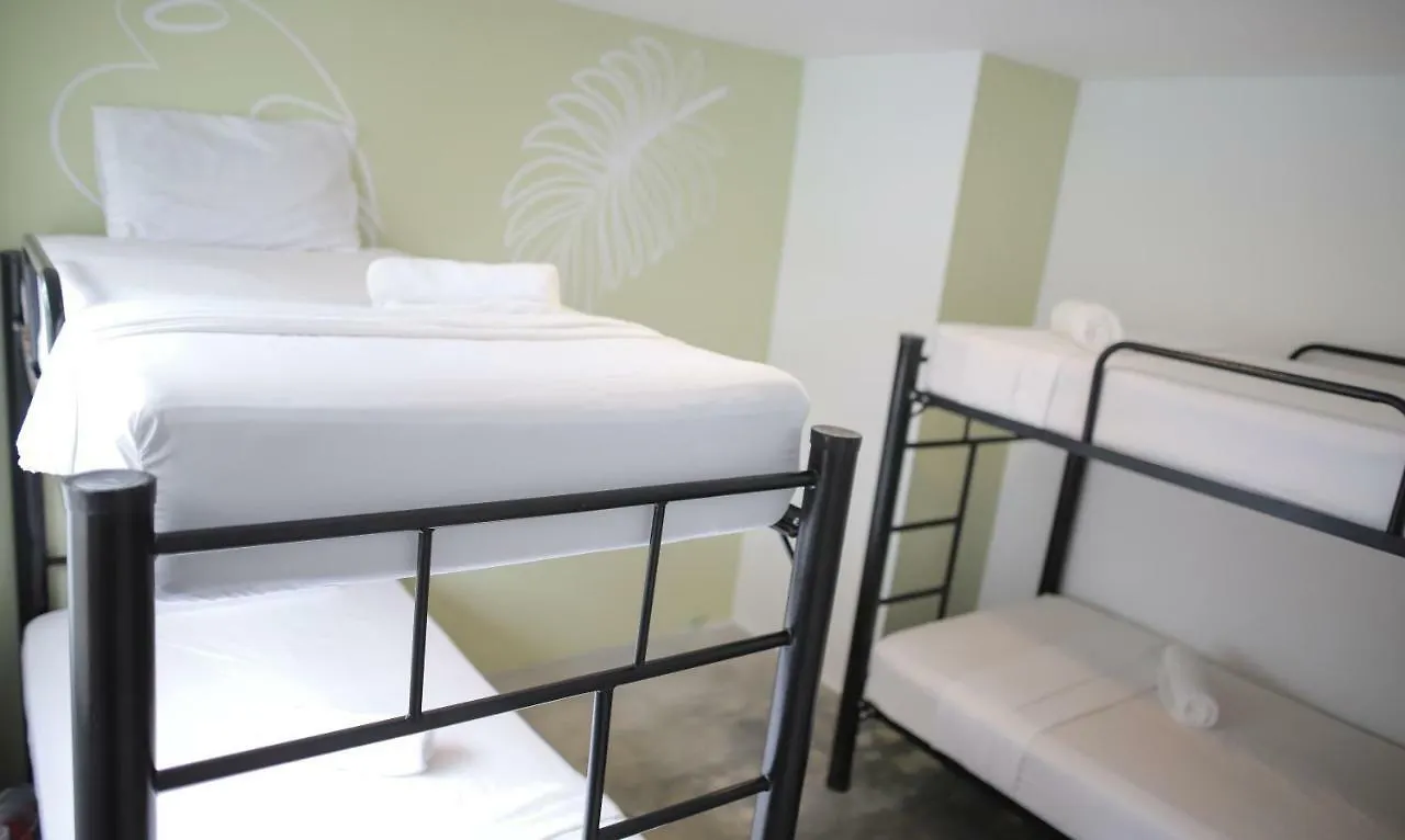 Albaka Guest House